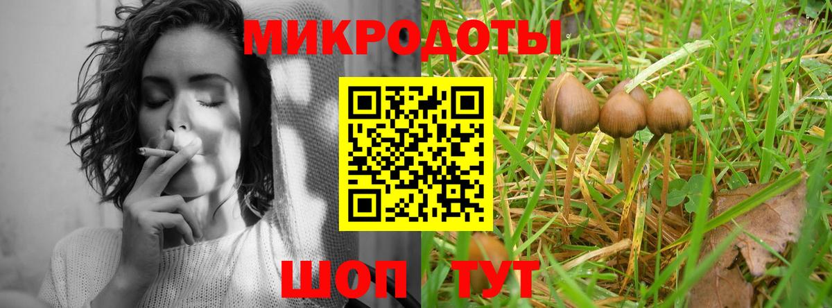 Галлюциногенные грибы GOLDEN TEACHER  Галлюциногенные грибы Magic Shrooms  где купить   Туапсе  Вход с VPN 